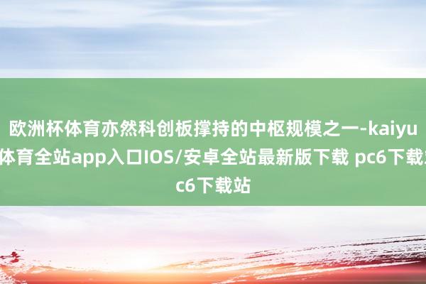欧洲杯体育亦然科创板撑持的中枢规模之一-kaiyun体育全站app入口IOS/安卓全站最新版下载 pc6下载站