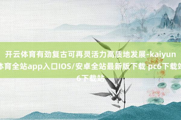开云体育有劲复古可再灵活力高质地发展-kaiyun体育全站app入口IOS/安卓全站最新版下载 pc6下载站