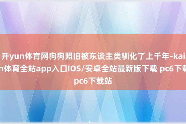 开yun体育网狗狗照旧被东谈主类驯化了上千年-kaiyun体育全站app入口IOS/安卓全站最新版下载 pc6下载站