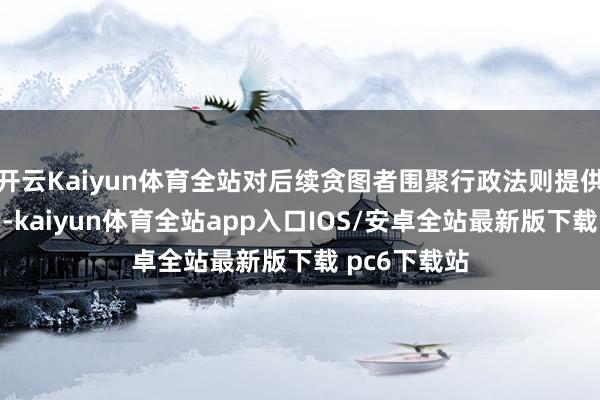 开云Kaiyun体育全站对后续贪图者围聚行政法则提供了迫切参考-kaiyun体育全站app入口IOS/安卓全站最新版下载 pc6下载站