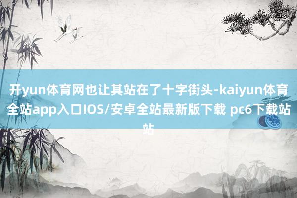 开yun体育网也让其站在了十字街头-kaiyun体育全站app入口IOS/安卓全站最新版下载 pc6下载站