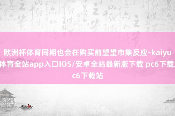 欧洲杯体育同期也会在购买前望望市集反应-kaiyun体育全站app入口IOS/安卓全站最新版下载 pc6下载站