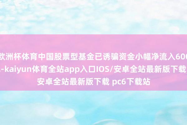 欧洲杯体育中国股票型基金已诱骗资金小幅净流入600万好意思元-kaiyun体育全站app入口IOS/安卓全站最新版下载 pc6下载站